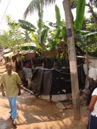 krottenwijk in Sri Lanka
